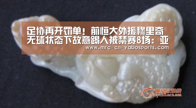 足协再开罚单!前恒大外援穆里奇无球状态下故意踢人被禁赛8场:亚博官方(图3) Yabo亚博集团