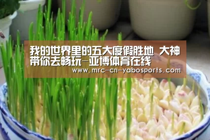 亚博体育官网