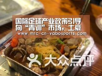 国际足球产业政策引导向“青训”市场,土豪俱乐部将举步维艰_亚博体育APP下载(图3) 亚博体育官网
