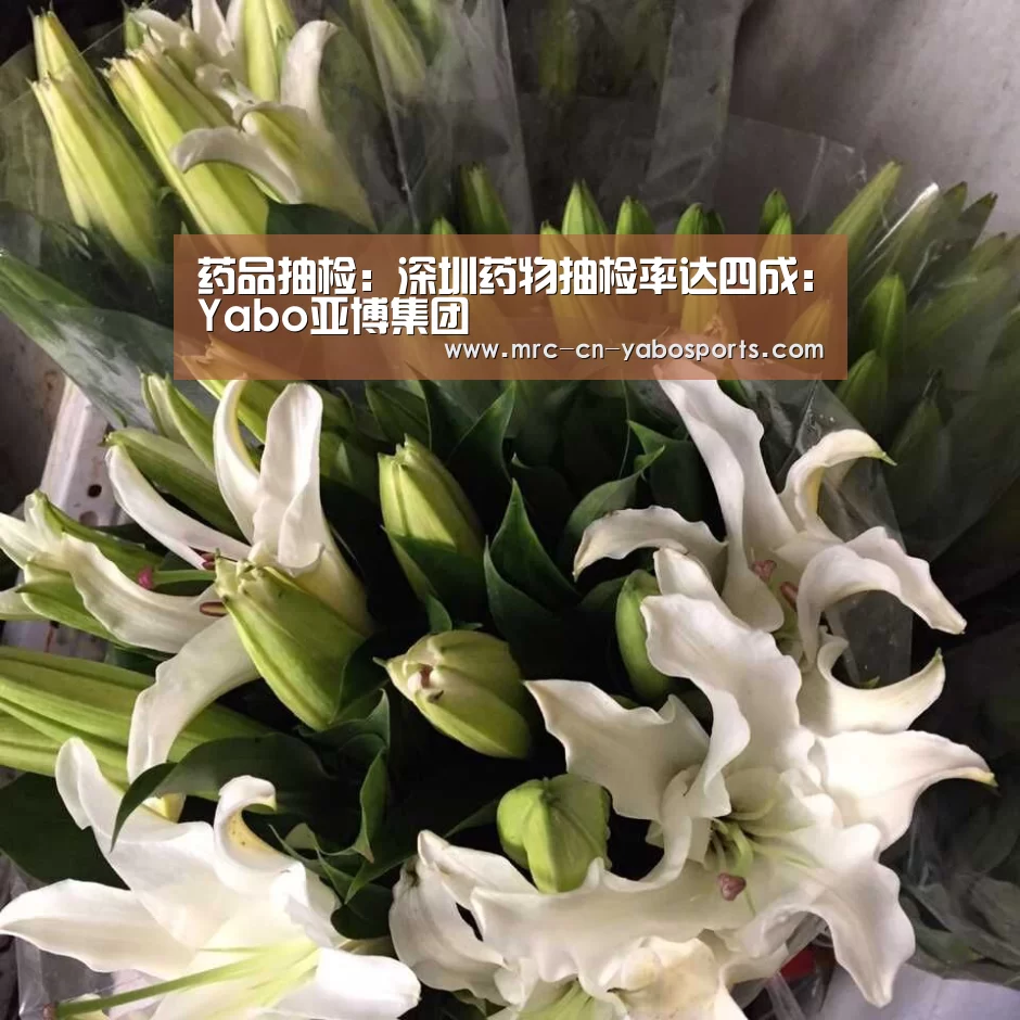 药品抽检:深圳药物抽检率达四成:Yabo亚博集团(图1) 亚博体育在线