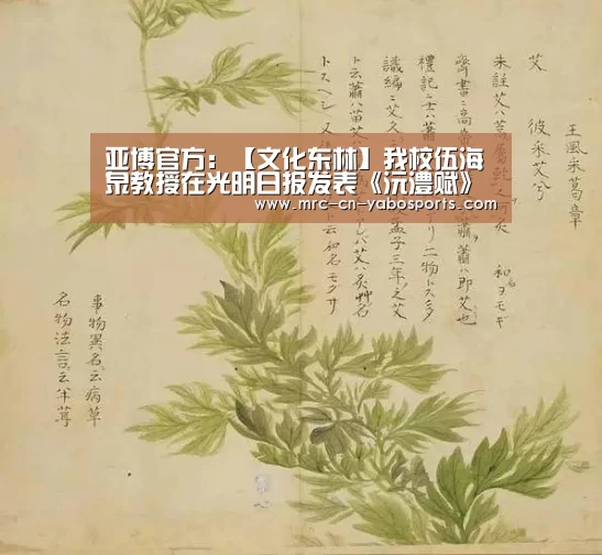 亚博体育在线